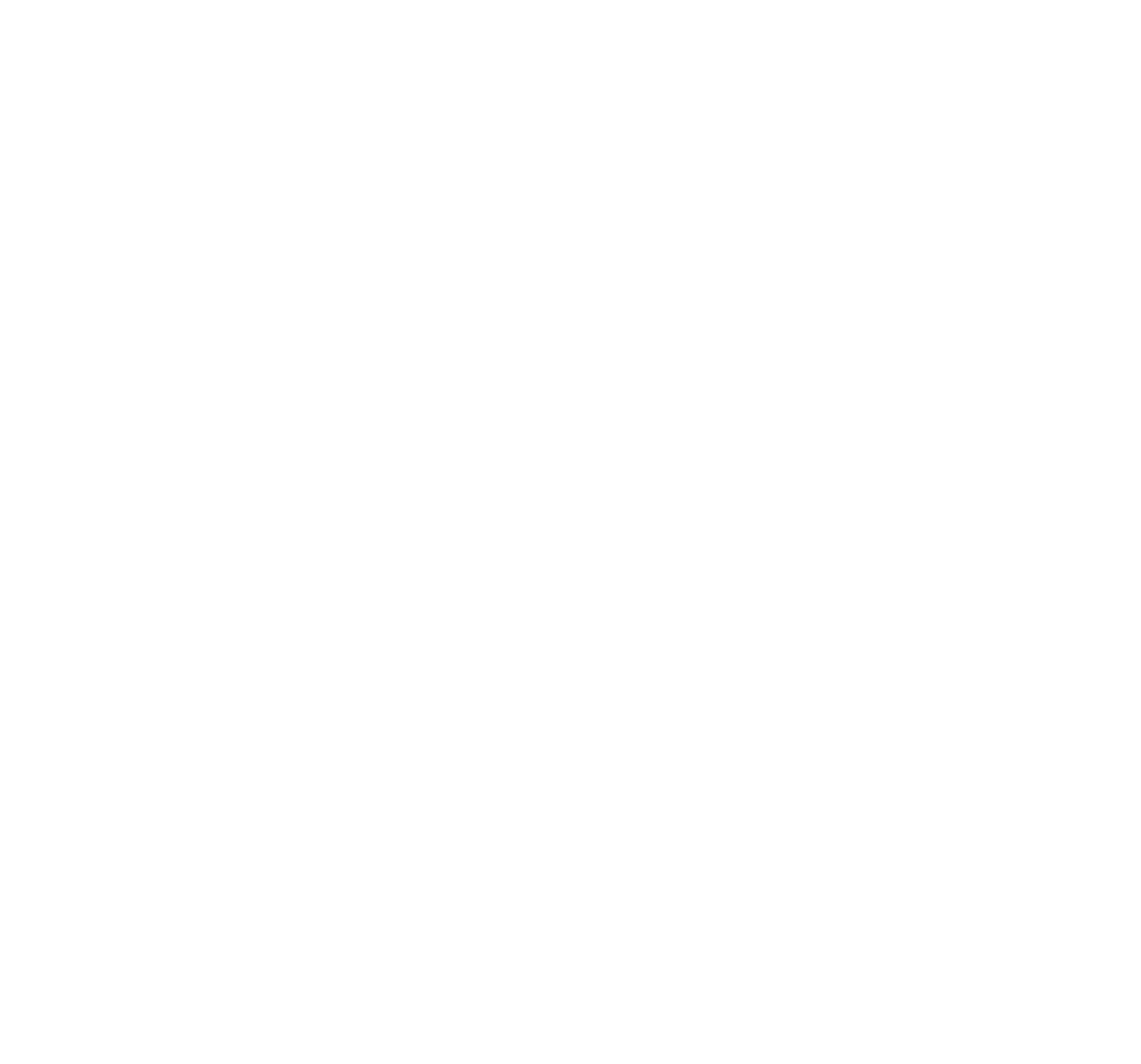 ESSEC_BS_logo_BLANC_grand_format